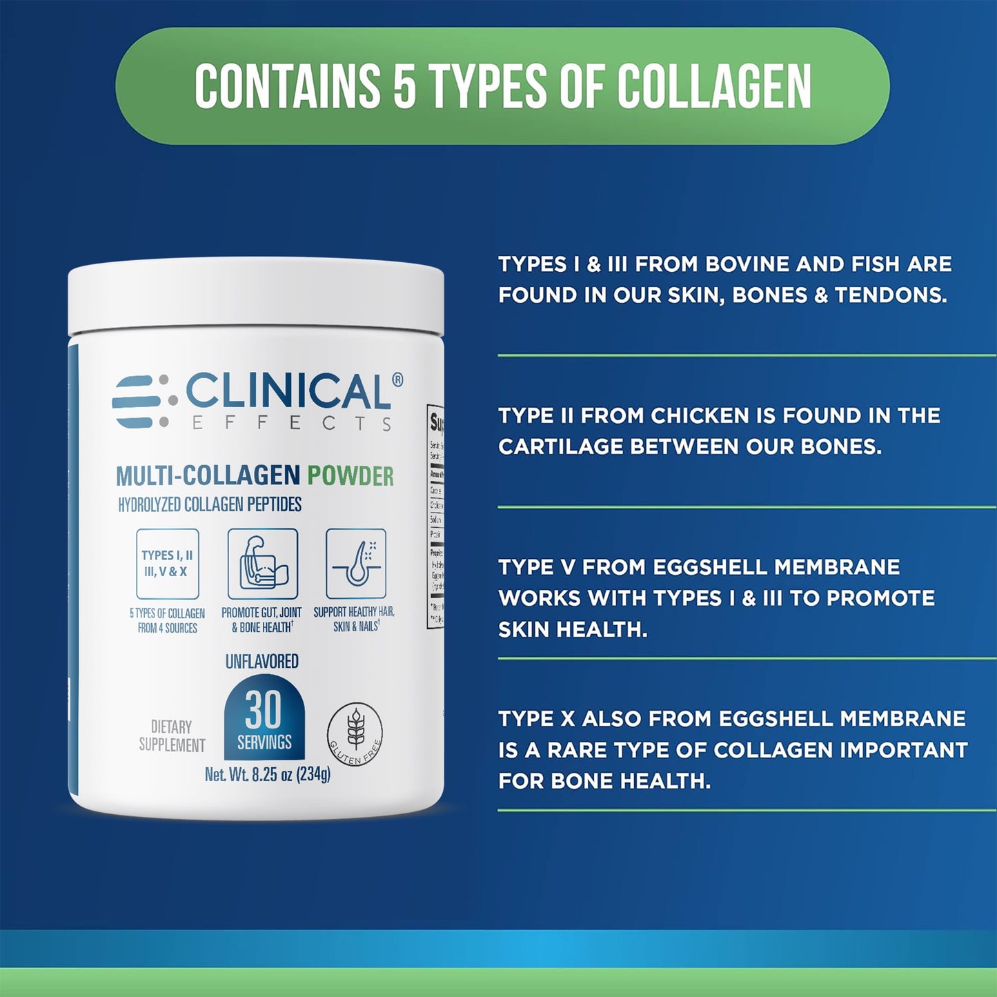 Multi-Collagen Powder - Collagen Dietary Supplement - 8Oz - 30 Servings - 5 Types of Quality-Sourced Multi-Collagen to Support Joint, Bone, Skin and Nail Health - Fast Absorption